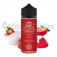 Steam Train Signalman 